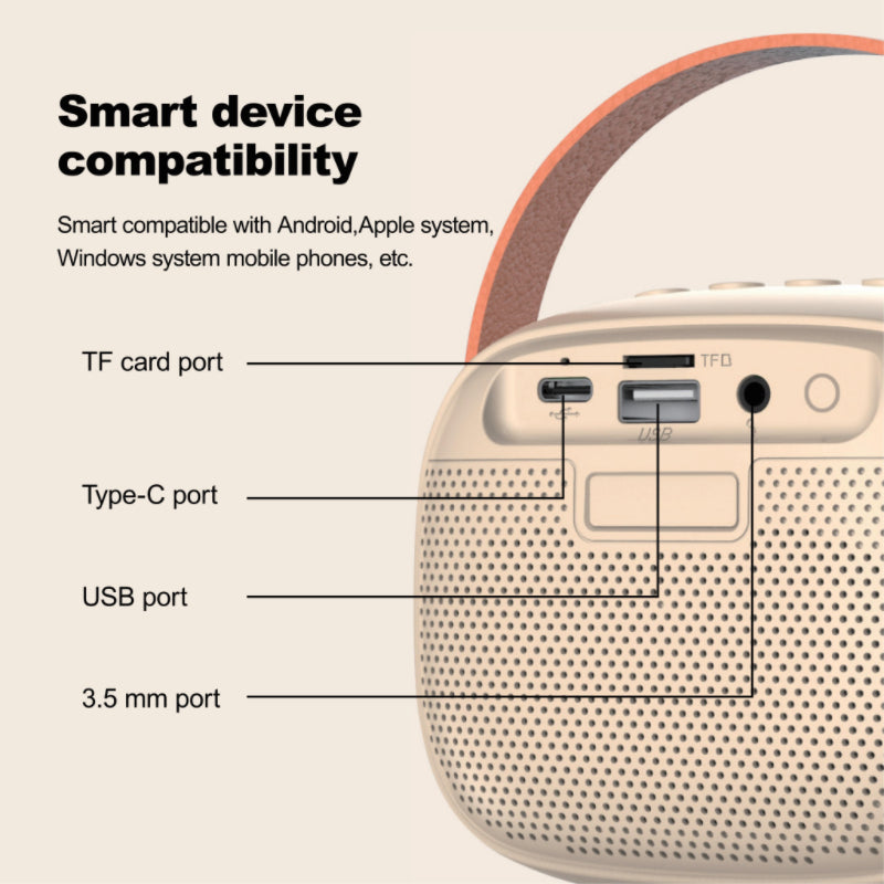 Portable Bluetooth Karaoke Machine w/ 2 Microphones for Kids & Adults, Back to School Toy, Party Fun